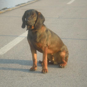 ...no a tu mám 8 mesiacov