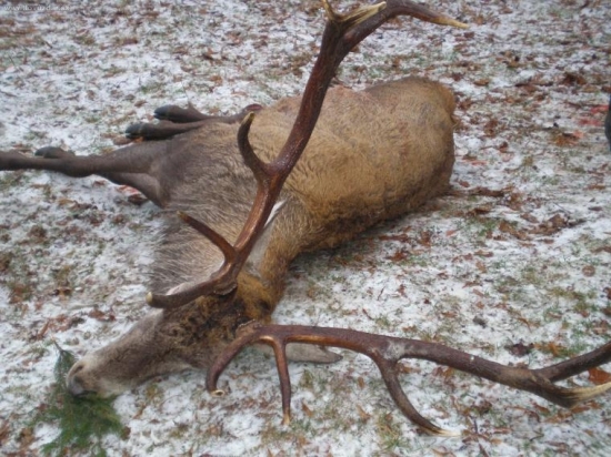 ...konečne ma dostali.