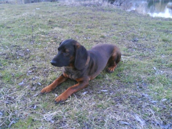 ... a tu mám 9 mesiacov