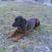 ... a tu mám 9 mesiacov