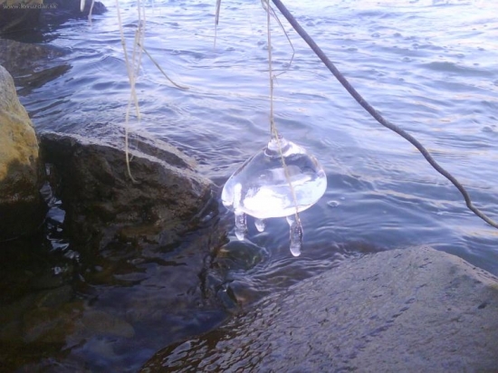 Aj príroda si vie vytvoriť vianočnú guľu