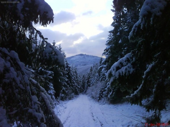 Pohľad z nášho revíru