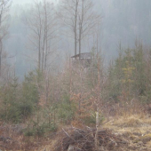 Mladina sa nám zdvihla.