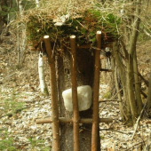 ...a ďalšie hotové solisko.