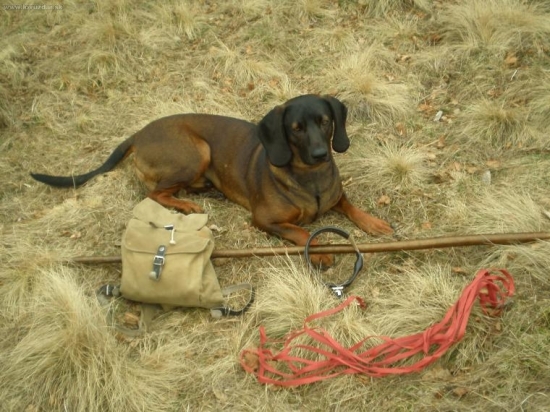 Čakanie na overenie nástrelu.