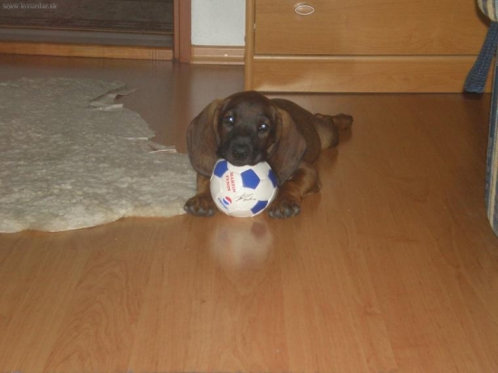 Budúci futbalista?!?