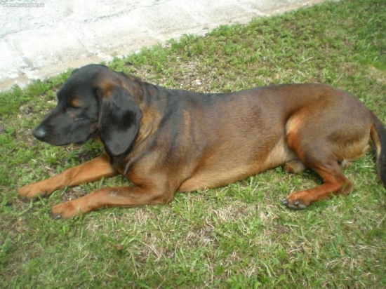 ... a tu mám 22 mesiacov.