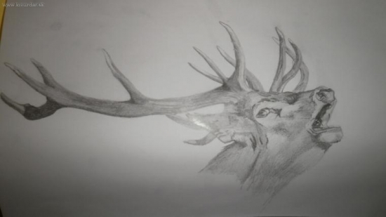 ...kamarátova prvotina (v tomto smere)