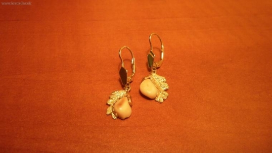 Manželkine dedictvo.