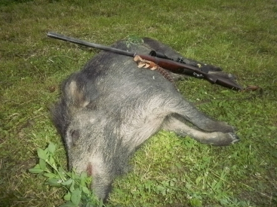 Lanštiak.