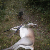 Uspešná no veľmi krátka dohladávka.