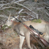 Nedelňajšia posliedka.