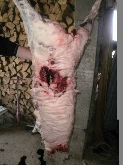 Vstrel (S&B;SP;11,7g;kal.308 Win.,strela vystrel.z ZKK 601, lanštiak z cca50m)