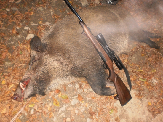 DIVIAČIK Z ĆERMEĽA