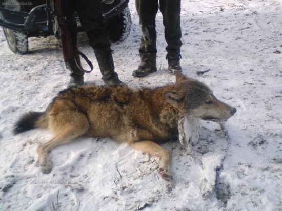 zo spoločnej polovačky