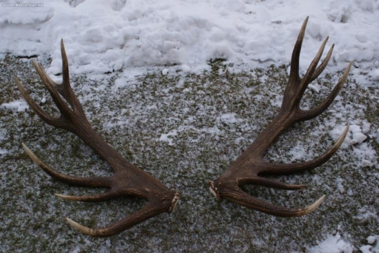 moje naj-strieborne rok 2007