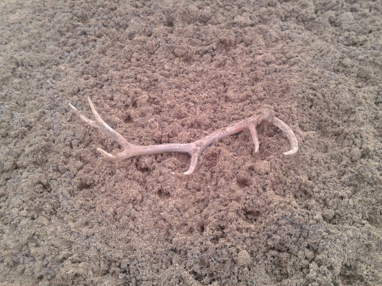 po dlhom čase sa podarilo aj mne