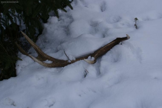 10-torak minulorocny