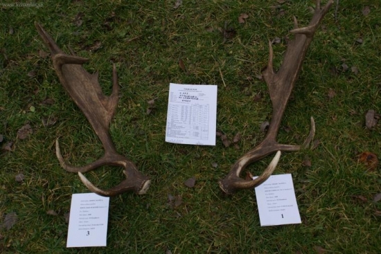 moje prve danielie rok 2008