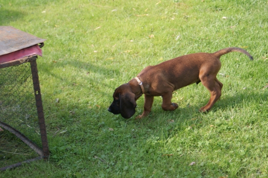 maly kamarat axel od remisky