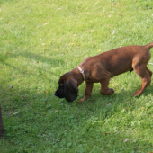 maly kamarat axel od remisky