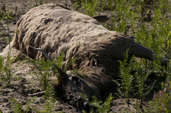 Jak dlouho tam mohl ležet?