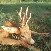 Nepravidelný 10torák