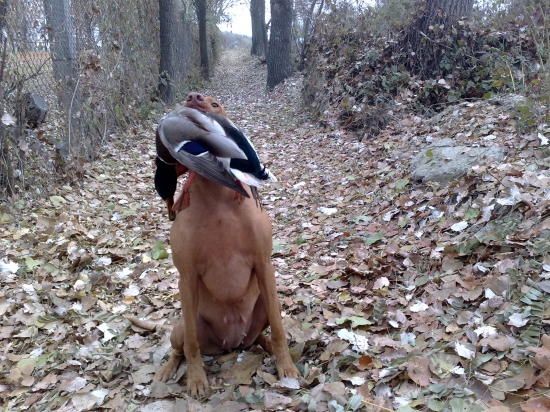 Konečne sa zadarilo