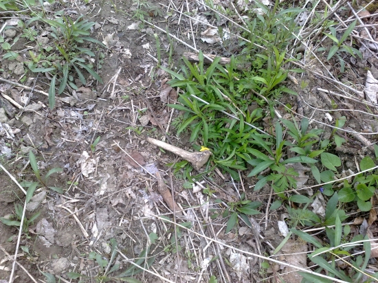 Nič moc, ale poteší