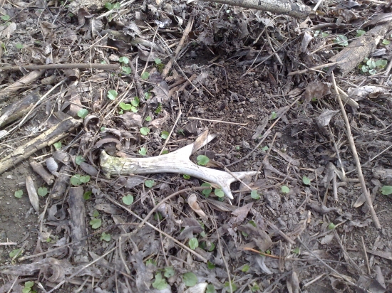 Starší ale poteší