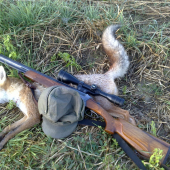 Privábená na myškovačku