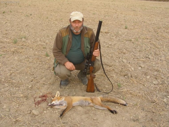 Privábená na zajačie vrešťadlo.