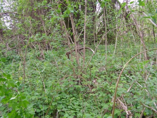 Konečne sa pošťastilo aj mne.