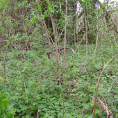 Konečne sa pošťastilo aj mne.