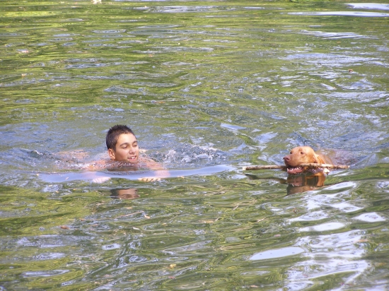 Kto bude rýchlejší