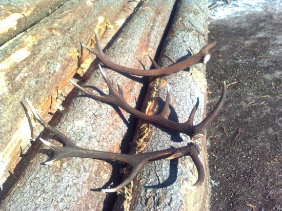 Deň na ktorý sa nezabúda