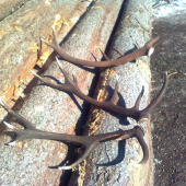 Deň na ktorý sa nezabúda