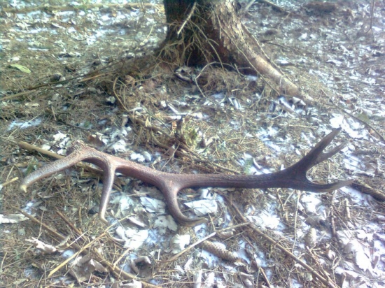 ...len tak si tam ležal...