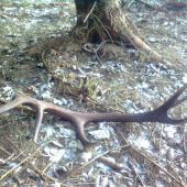 ...len tak si tam ležal...