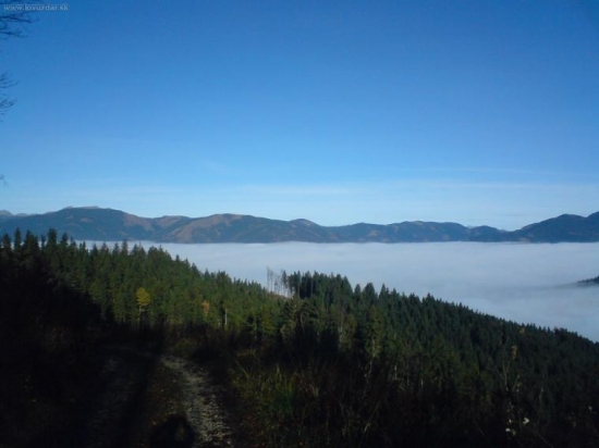 Ráno na poľovačke