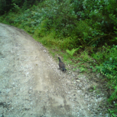 išiel si po ceste...:)