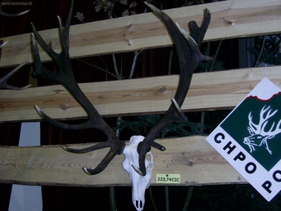 Poľovnícke dni Levice