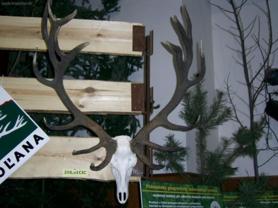 Poľovnícke dni Levice