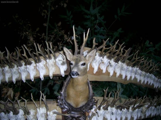 Poľovnícke dni Levice