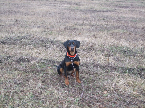 trénujeme odloženie