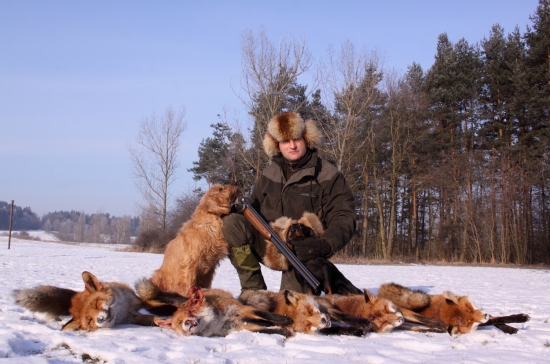 Po víkendovém norování