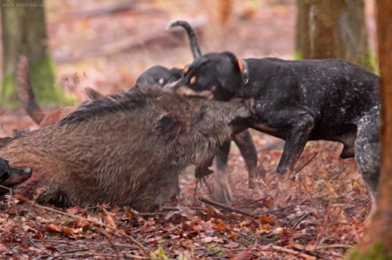 Z dnešní naháňky 2.