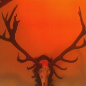 nepravidelny 24-torak :D