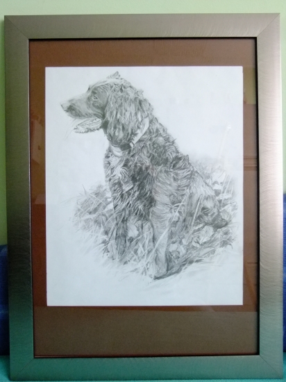 Ebina ,lovecký pes mého kolegy ,tuška na kartonu