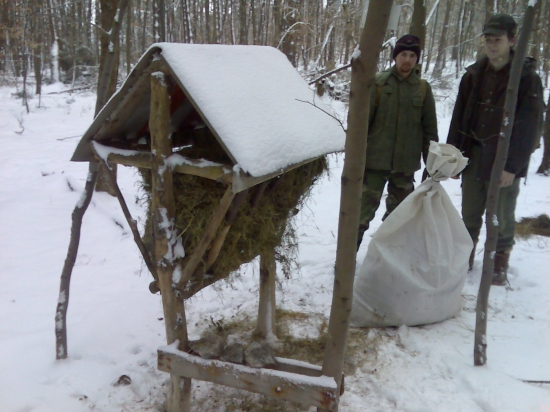 Povianočné doplnenie